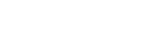 National Association of State Aviation Officials logo