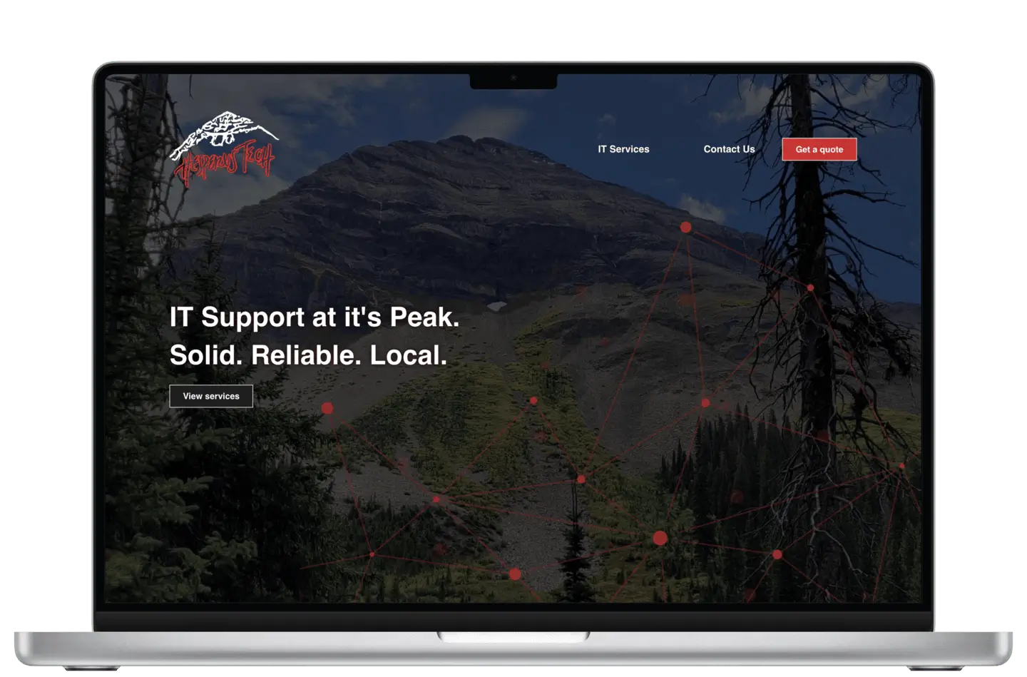 screenshot of Hesperus Tech's website